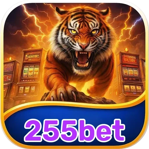 255bet: Descubra os Recursos Imperdíveis da Plataforma para Usuários Brasileiros